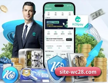 旺财28 APP 深度功能