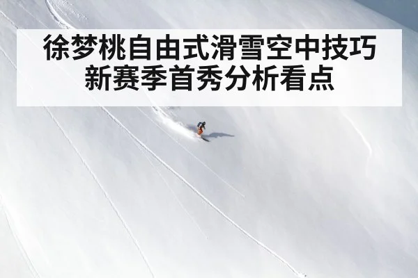 徐梦桃自由式滑雪空中技巧新赛季首秀分析看点